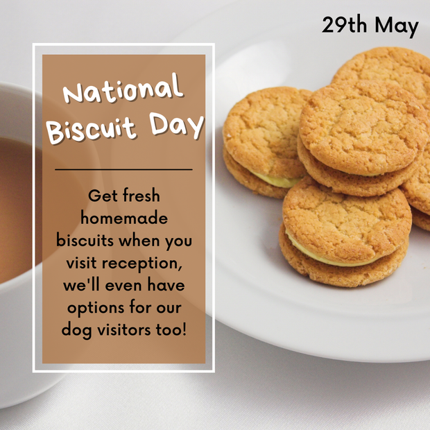National Biscuit Day at NAWT Herts National Animal Welfare Trust